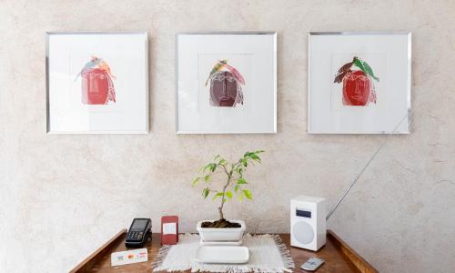 Clos des Moulins - photo 3